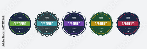 Certified digital badge logo design template. Future of IT certification for corporate project brand. Set modern icon vector illustration.