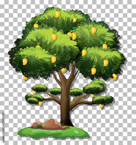 Mango tree on transparent background