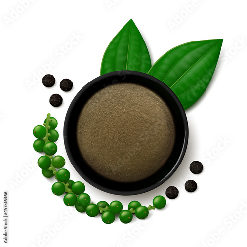 Fine ground black pepper in a bowl, several peppercorns, leaves and sprig of plant with fresh unripe fruits. Realistic vector illustration. Top view.