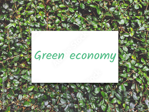 green economy letters on white paper