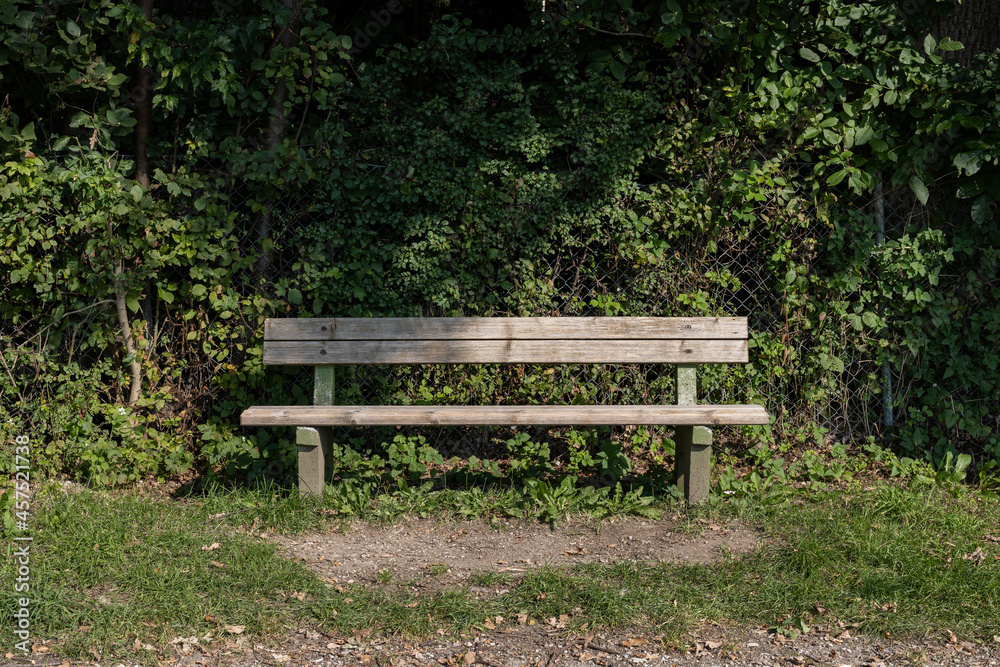 Park bench in the forest