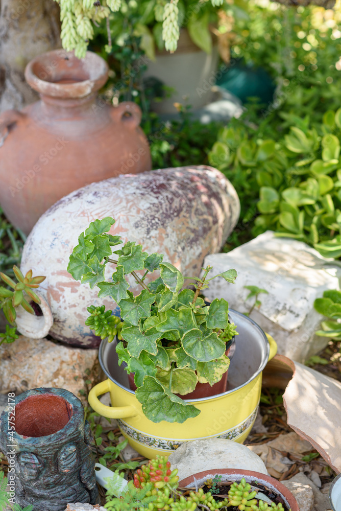 Reused garden design ideas. Old saucepans, old vases turn into garden
