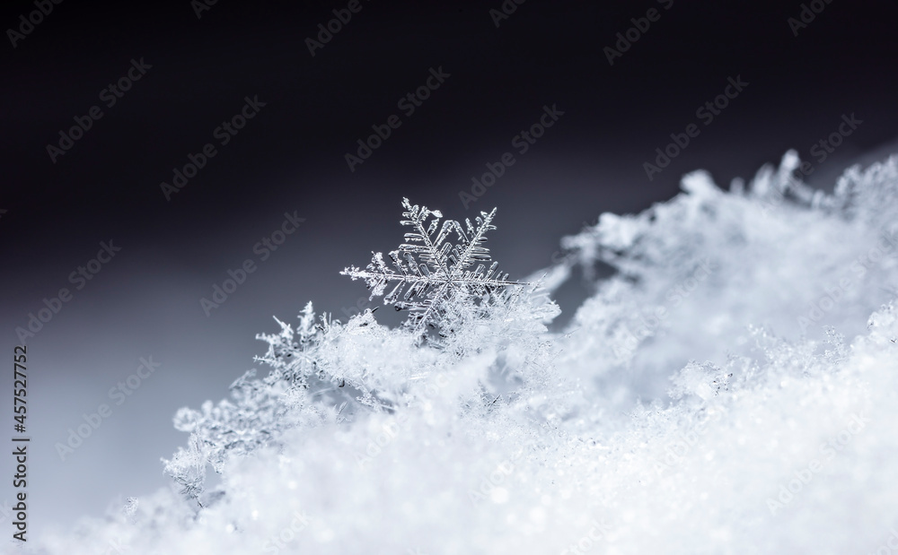 Snowflake on snow. Winter holidays and Christmas background