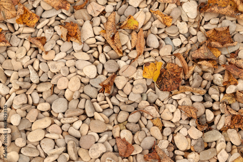 autumn leaves and stones background autumn leaves and stones background