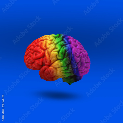 A multicolored brain on a blue background with shadow photo