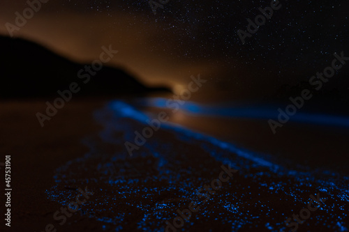 Canvas Print Bioluminescence Denmark