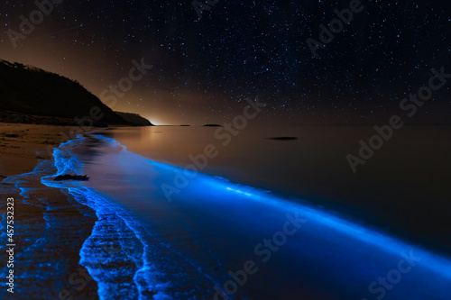 Bioluminescence Denmark photo