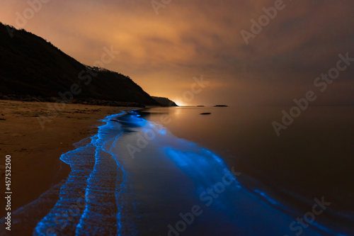 Bioluminescence Denmark photo