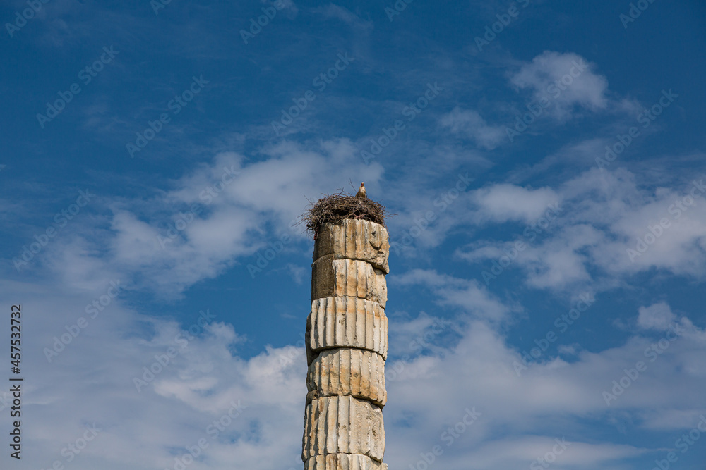 トルコ　エフェソスの古代都市遺跡のアルテミス神殿の円柱と上に作られた鳥の巣