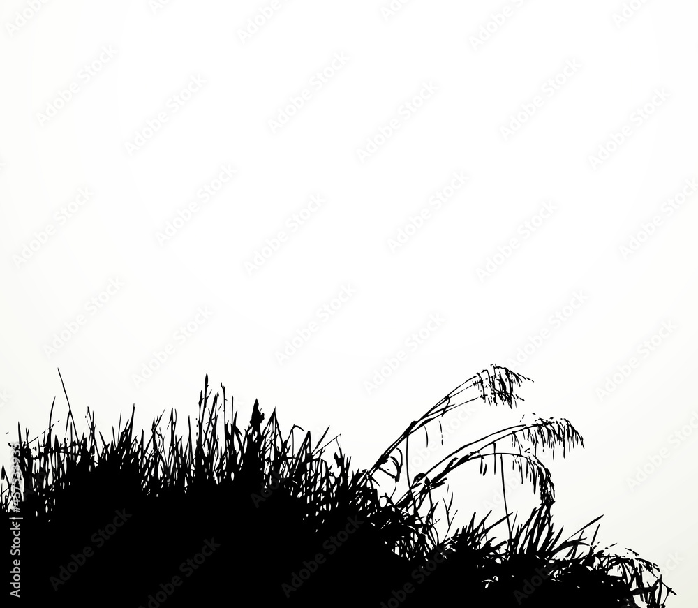 Obraz premium Silhouette of grass by the lake. Vector drawing