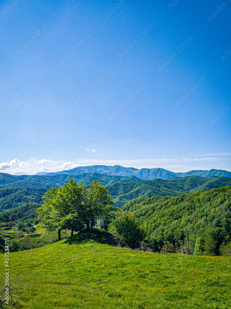 Cammino Foreste Sacre Cammino Foreste Sacre