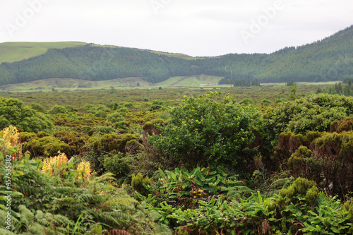 View of the Caldeira de Guilherme Moniz, Terceira island, Azores