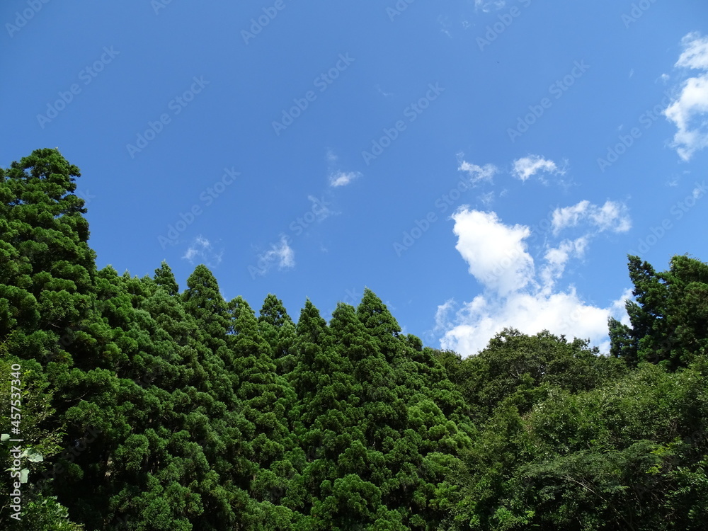 初秋の里山