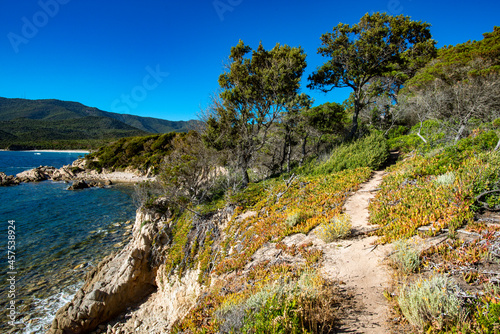 Die Küste von Korsika beim Plage de Cupabia - Küstenwanderweg