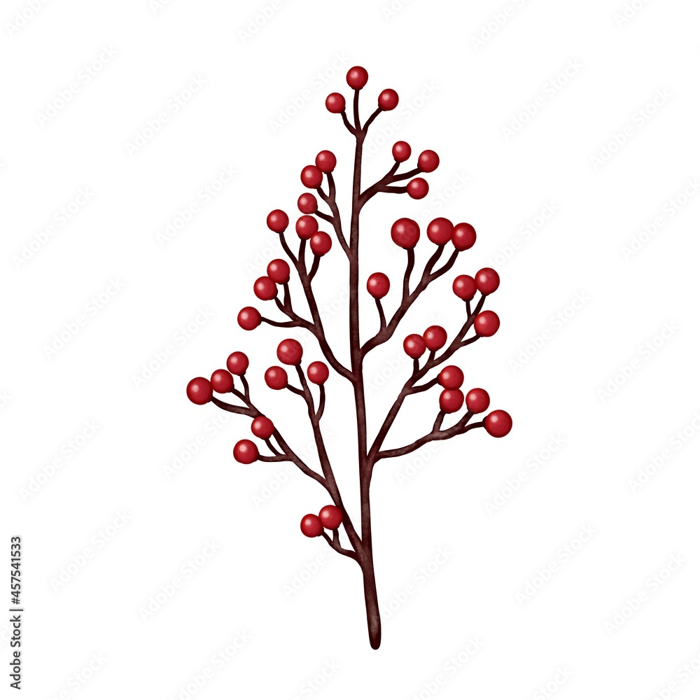Obraz premium ホーリーベリー 赤い実のついた枝 線画なし