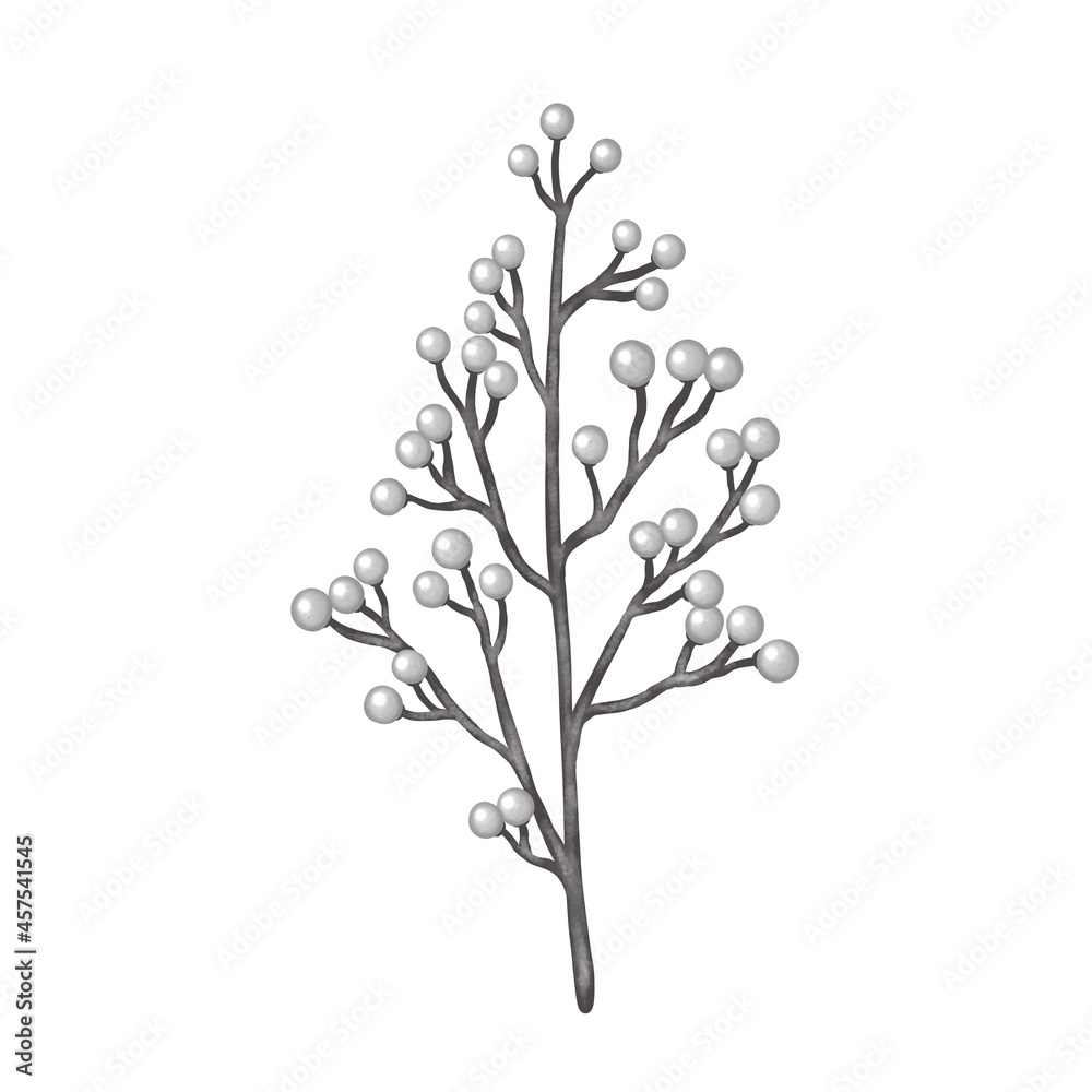 ホーリーベリー クリスマスの白い実のついた枝 線画なし ホーリーベリー クリスマスの白い実のついた枝 線画なし