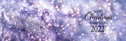 Christmas and New Year gree...