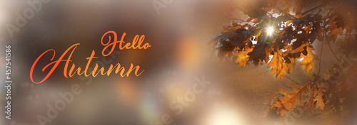 Autumn background banner wi...