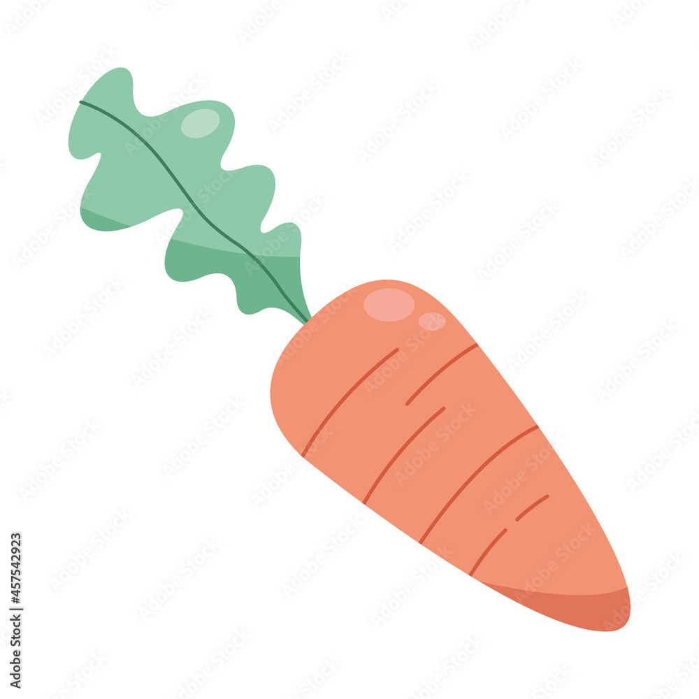 Isolated carrot vegetable Isolated carrot vegetable