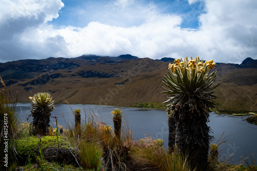 PARAMOUNT IN COLOMBIA