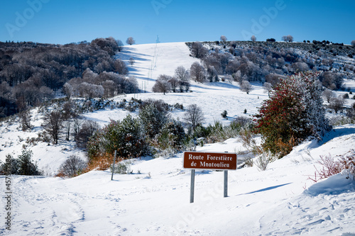 French Pyrenees