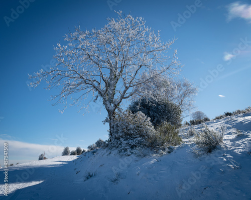 French Pyrenees