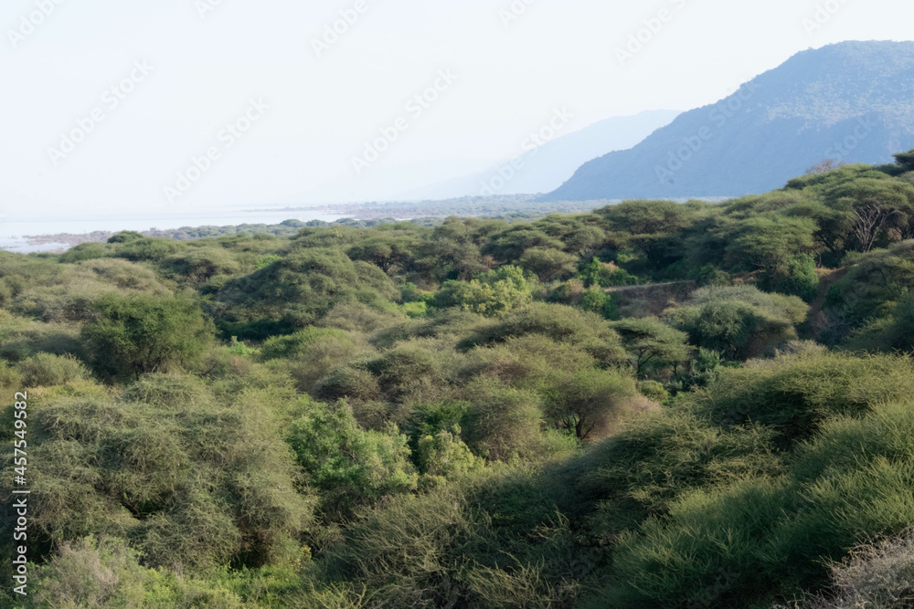 Fototapeta premium tanzania