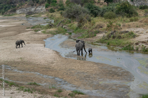 Tanzania