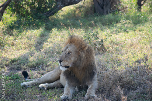 tanzania