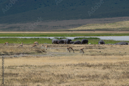Tanzania
