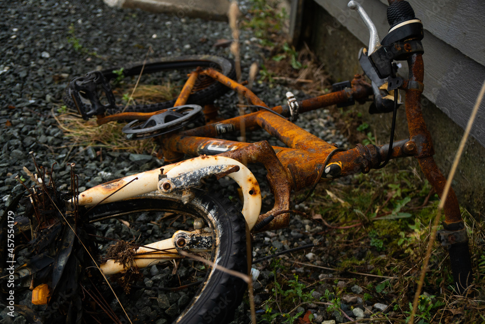 Obraz premium Rusty old bike