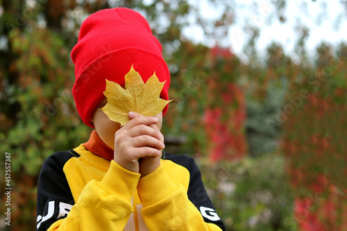A child in a red hat and yellow clothes  covers his face with a yellow maple leaf  on an autumn day