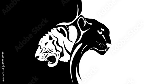 tigr and pantera black and white photo