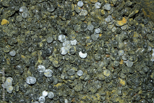 Raw materials and chemicals used in the belt production process