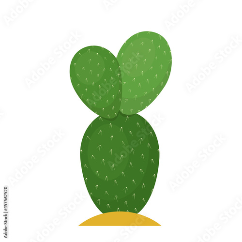 Cactus flat illustration on white background. Desert and exotic plant.