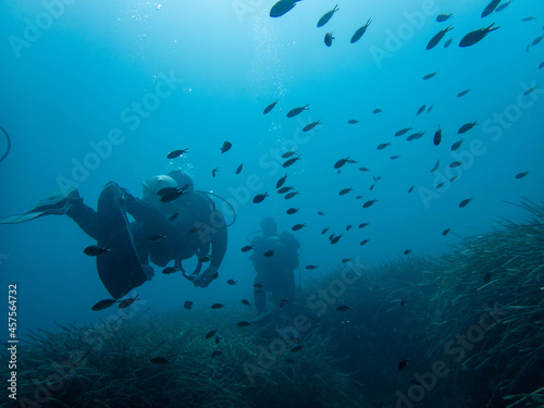 Diving in nice clean sea water