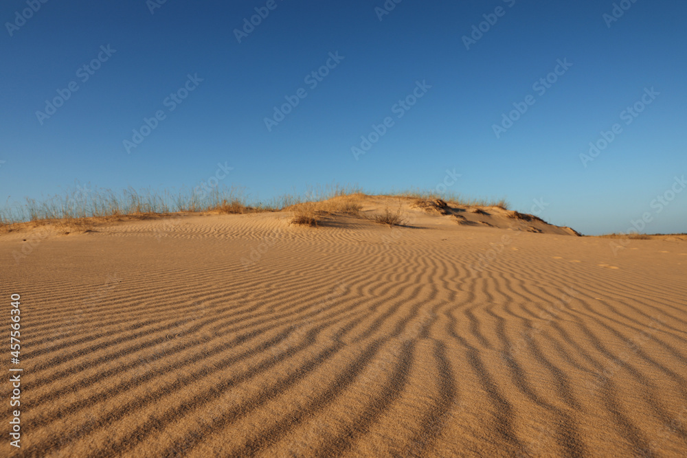 Picturesque view of desert on sunny day Picturesque view of desert on sunny day
