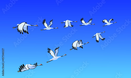A flock of cranes is flying in the sky. Migratory birds fly south. Wind illustration.