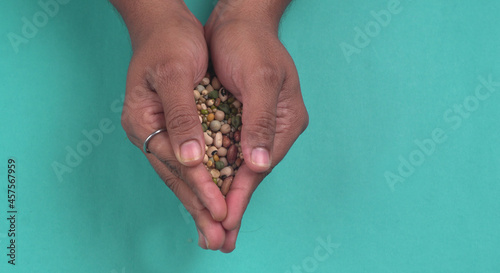 Assorted different types of beans and cereals grains in hand. Set of indispensable sources of protein for a healthy lifestyle. Everyday use at Indian households.