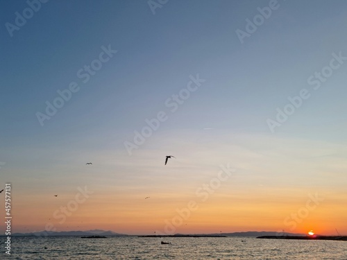 Murais de parede sunset over the sea and seagulls