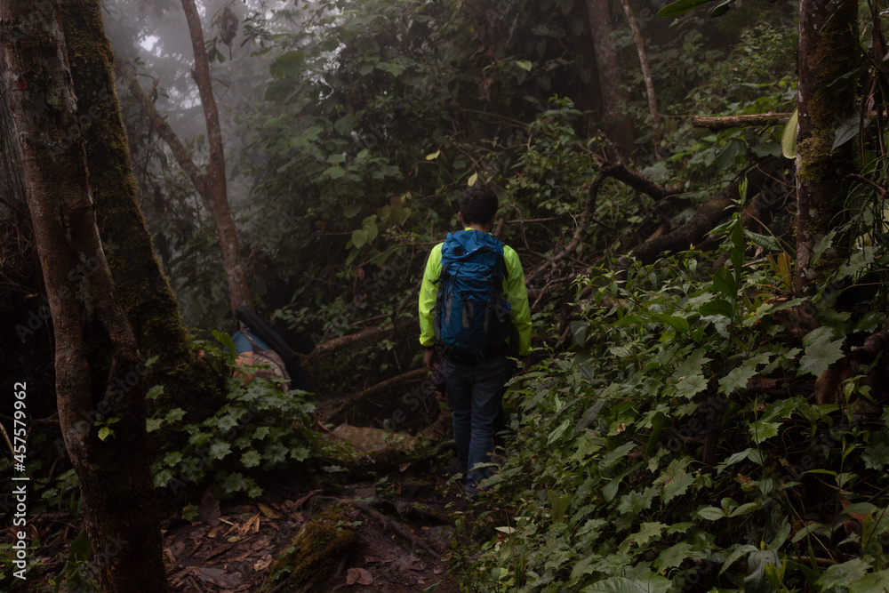 A young male trekking in middle of a dense jungle with fog and a blue bag pack