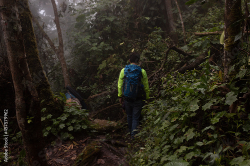 A young male trekking in middle of a dense jungle with fog and a blue bag pack