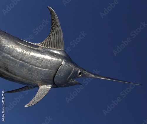 Fotografiet Scenic view of a swordfish on a blue background