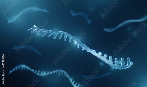 MicroRNA illustration