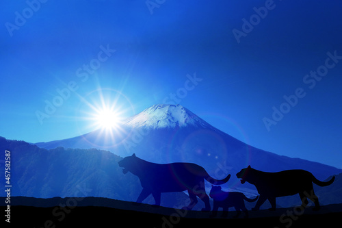 寅年年賀状-虎のシルエットと富士山と初日の出  © rrice