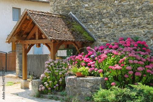 Marais de Lavours, ain photo