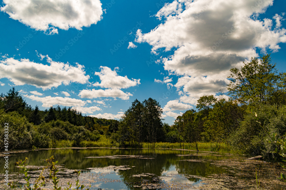 Fototapeta premium Mountain Pond 