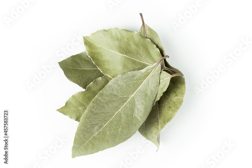 bay leaf macro, bay leaves isolated on white background closeup photo