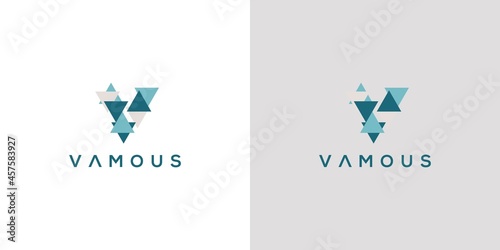 Modern and professional letter V initials logo design