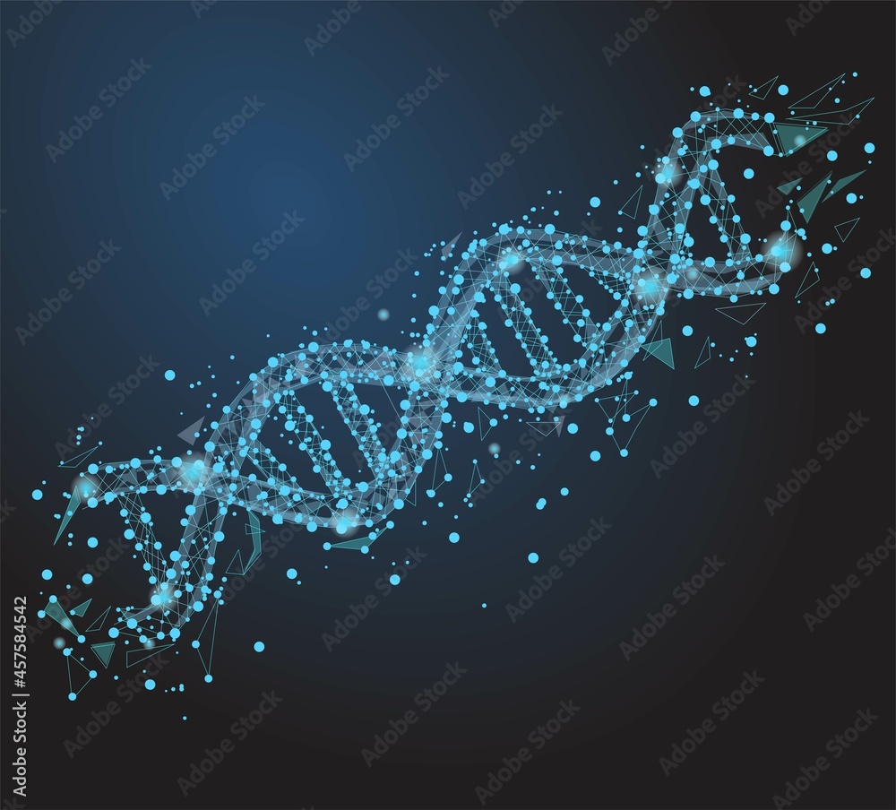 DNA molecules structure mesh.Low poly wireframe digital technology vector illustration. Science and Technology concept.